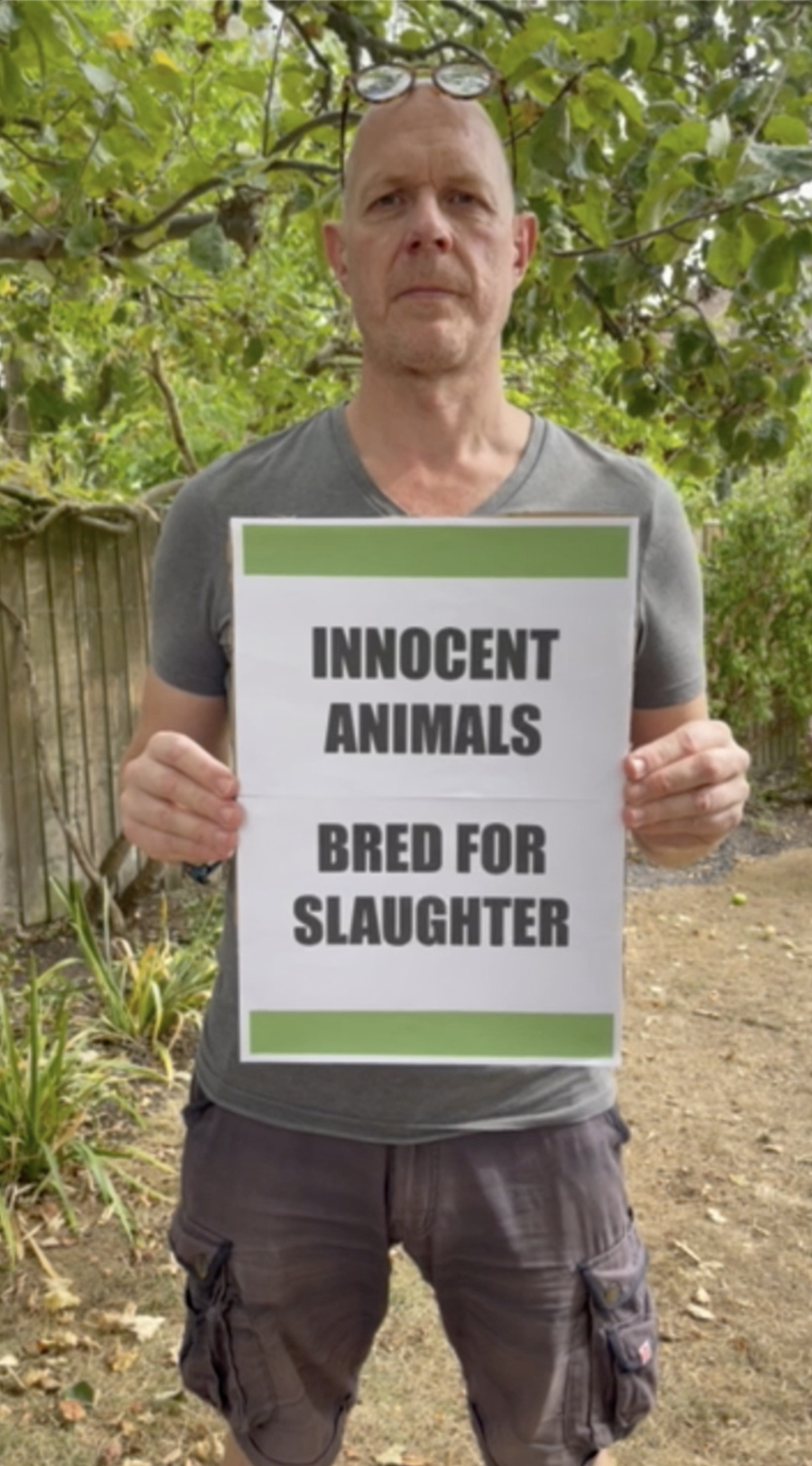 A Media Revolution for Animals